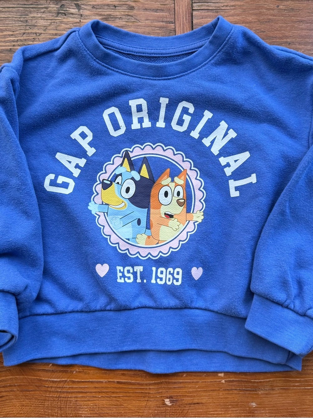 GAP Royal Blue 'Bluey' Graphic Crewneck Sweatshirt